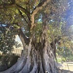 Photo taken by Doug P