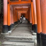 Photo taken by Kirti P