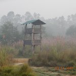 Photo taken by Wayne D