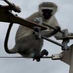 Photo taken by Martin D