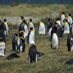 Photo taken by Marcia R