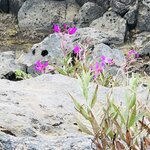 Photo taken by Jon A