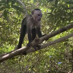 Photo taken by Tara V