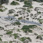 Photo taken by Dan J