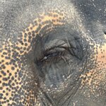 Photo taken by Fuad A