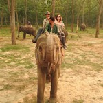 Elephant safari in Chitwan | Photo taken by Kim C