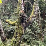 Photo taken by Leigh M