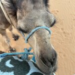 Photo taken by Paula H