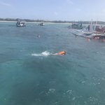 Snorkeling on an excursion.   | Photo taken by Segal A