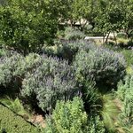 The Secret Garden, Marrakech  | Photo taken by Rod K