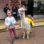 Photo taken by Melissa C