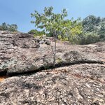 Photo taken by Marur Dev D