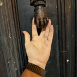 Photo taken by Tracy A