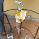 Photo taken by Judi S