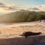 Photo taken by Katarzyna W