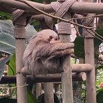 Photo taken by Alex V