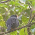 Photo taken by Bert B