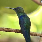 Photo taken by Ben B