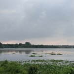 Photo taken by Anisha L