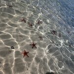 Photo taken by Robert S