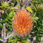 Photo taken by Debby D