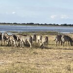 Photo taken by rhonda c