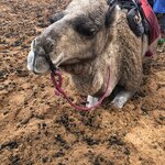 Photo taken by Leslie P