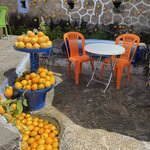 Photo taken by Brooke D