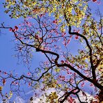 Photo taken by Ben B