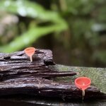 Photo taken by katie u