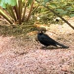 Photo taken by Patricia O