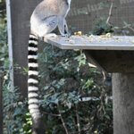 Photo taken by William R