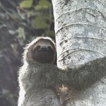 Photo taken by Brooke M