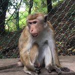 Photo taken by Sylvanna C