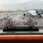 Photo taken by Marianne O