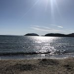 Photo taken by Victoria P