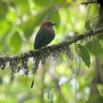 Photo taken by Kate R