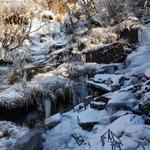 Photo taken by Amy S