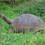 Photo taken by Natascia V