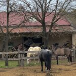 Photo taken by Graciela P