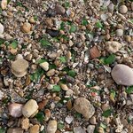 Photo taken by Beverly R