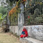 Photo taken by Marianne O