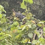 Photo taken by Emily F