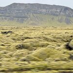 Photo taken by Marcia R