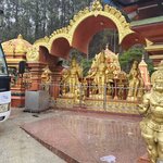 Photo taken by Tanya G