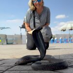 Photo taken by Tony F