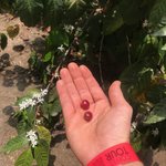 Photo taken by Daniel B