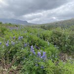 Photo taken by Jennifer M