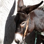 Photo taken by Margi S