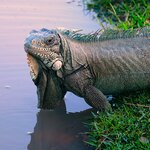 Photo taken by Dennis H